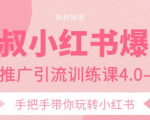 狼叔小红书爆款推广引流训练课4.0，手把手带你玩转小红书-全网第一网赚项目资源库-中赚网 & 中创网 & 冒泡网 & 福缘网 - 小本轻创业与优质加盟项目首选平台