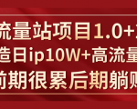《大流量站项目1.0+2.0》打造日IP10W+高流量站,前期很累后期躺赚-全网第一网赚项目资源库-中赚网 & 中创网 & 冒泡网 & 福缘网 - 小本轻创业与优质加盟项目首选平台