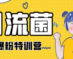 引流菌2020全网爆粉特训营(QQ群霸屏,知乎引流,群裂变,自动化引流等)-全网第一网赚项目资源库-中赚网 & 中创网 & 冒泡网 & 福缘网 - 小本轻创业与优质加盟项目首选平台