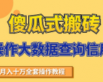 搬砖操作大数据查询信用项目赚钱教程,祝你快速月入6万-全网第一网赚项目资源库-中赚网 & 中创网 & 冒泡网 & 福缘网 - 小本轻创业与优质加盟项目首选平台