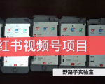 野路子小红书视频号1.0项目,直接上手操作就能赚钱的视频号项目-全网第一网赚项目资源库-中赚网 & 中创网 & 冒泡网 & 福缘网 - 小本轻创业与优质加盟项目首选平台