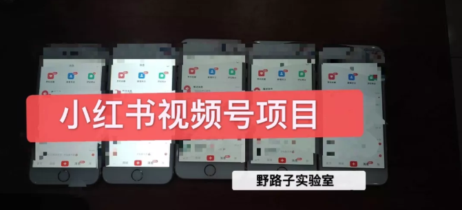 野路子小红书视频号1.0项目，直接上手操作就能赚钱的视频号项目-全网第一网赚项目资源库-中赚网 & 中创网 & 冒泡网 & 福缘网 - 小本轻创业与优质加盟项目首选平台