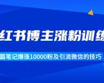 小红书博主涨粉训练营:一篇笔记爆涨10000粉及引流微信的技巧-全网第一网赚项目资源库-中赚网 & 中创网 & 冒泡网 & 福缘网 - 小本轻创业与优质加盟项目首选平台