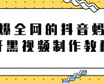 火爆全网的抖音“蚂蚁牙黑”视频制作教程,附软件【视频教程】-全网第一网赚项目资源库-中赚网 & 中创网 & 冒泡网 & 福缘网 - 小本轻创业与优质加盟项目首选平台