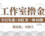 工作室撸金二件套:撸今日头条原创收益+小红书一单利润40块项目-全网第一网赚项目资源库-中赚网 & 中创网 & 冒泡网 & 福缘网 - 小本轻创业与优质加盟项目首选平台