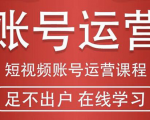 短视频账号运营课程:从话术到短视频运营再到直播带货全流程,新人快速入门-全网第一网赚项目资源库-中赚网 & 中创网 & 冒泡网 & 福缘网 - 小本轻创业与优质加盟项目首选平台