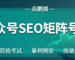 高鹏圈公众号SEO矩阵号群,实操20天纯收益25000+,普通人都能做-全网第一网赚项目资源库-中赚网 & 中创网 & 冒泡网 & 福缘网 - 小本轻创业与优质加盟项目首选平台