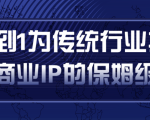 从0到1为传统行业打造抖音商业IP简单高效的保姆级攻略-全网第一网赚项目资源库-中赚网 & 中创网 & 冒泡网 & 福缘网 - 小本轻创业与优质加盟项目首选平台