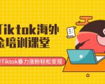 最新Tiktok海外掘金培训课堂:带你玩转Tiktok暴力涨粉轻松变现-全网第一网赚项目资源库-中赚网 & 中创网 & 冒泡网 & 福缘网 - 小本轻创业与优质加盟项目首选平台