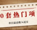 30套热门项目:单日最高收入过万 (网赚项目、朋友圈、涨粉套路、抖音、快手)等-全网第一网赚项目资源库-中赚网 & 中创网 & 冒泡网 & 福缘网 - 小本轻创业与优质加盟项目首选平台