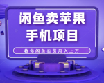 闲鱼卖苹果手机项目,教你闲鱼卖货月入上万-全网第一网赚项目资源库-中赚网 & 中创网 & 冒泡网 & 福缘网 - 小本轻创业与优质加盟项目首选平台