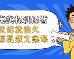 文案实操训练营,只说话就能火的短视频文案课-全网第一网赚项目资源库-中赚网 & 中创网 & 冒泡网 & 福缘网 - 小本轻创业与优质加盟项目首选平台
