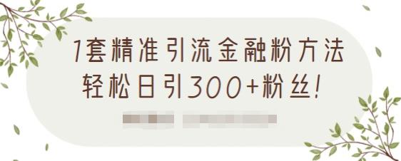 1套精准引流金融粉方法，轻松日引300+粉丝-全网第一网赚项目资源库-中赚网 & 中创网 & 冒泡网 & 福缘网 - 小本轻创业与优质加盟项目首选平台