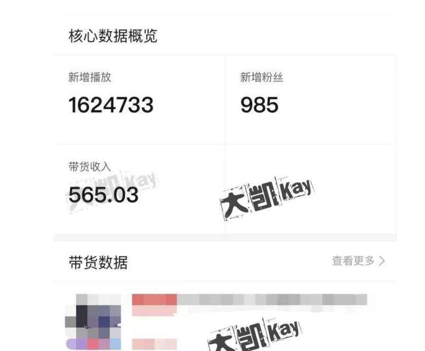 大凯进阶圈新玩法之拼多多视频玩法，利润大概一个号一天能有500~1500的左右!-全网第一网赚项目资源库-中赚网 & 中创网 & 冒泡网 & 福缘网 - 小本轻创业与优质加盟项目首选平台