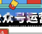 零零已久·从0-1运营公众号,零基础小白也能上手,系统性了解公众号运营-全网第一网赚项目资源库-中赚网 & 中创网 & 冒泡网 & 福缘网 - 小本轻创业与优质加盟项目首选平台