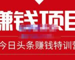 懒人领域·今日头条项目玩法,头条中视频项目,单号收益在50—500可批量-全网第一网赚项目资源库-中赚网 & 中创网 & 冒泡网 & 福缘网 - 小本轻创业与优质加盟项目首选平台
