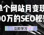 单个网站月变现100万的SEO秘密，百分百做出赚钱站点-全网第一网赚项目资源库-中赚网 & 中创网 & 冒泡网 & 福缘网 - 小本轻创业与优质加盟项目首选平台