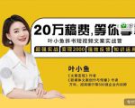 叶小鱼21天短视频文案拆书营，学完轻松搞定各类书单短视频文案-全网第一网赚项目资源库-中赚网 & 中创网 & 冒泡网 & 福缘网 - 小本轻创业与优质加盟项目首选平台