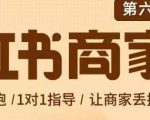 贾真-小红书商家营第6期商家版，21天带货陪跑课，让商家丢掉付流量-全网第一网赚项目资源库-中赚网 & 中创网 & 冒泡网 & 福缘网 - 小本轻创业与优质加盟项目首选平台