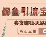 闲鱼引流宝妈粉+卖货赚钱一个月收益30000+(实操视频教程)-全网第一网赚项目资源库-中赚网 & 中创网 & 冒泡网 & 福缘网 - 小本轻创业与优质加盟项目首选平台