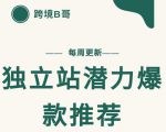 【跨境B哥】独立站潜力爆款选品推荐,测款出单率高达百分之80-全网第一网赚项目资源库-中赚网 & 中创网 & 冒泡网 & 福缘网 - 小本轻创业与优质加盟项目首选平台