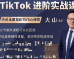 大山老师TikTok进阶实战课:账号详解,流量运营,实战变现,助力你成功出海-全网第一网赚项目资源库-中赚网 & 中创网 & 冒泡网 & 福缘网 - 小本轻创业与优质加盟项目首选平台