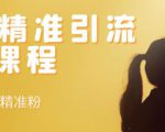 soul精准引流系列课程,每天引流100精准粉-全网第一网赚项目资源库-中赚网 & 中创网 & 冒泡网 & 福缘网 - 小本轻创业与优质加盟项目首选平台