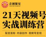 张萌21天视频号实战训练营，裂变涨粉、内容创作、视频号变现 价值298元-全网第一网赚项目资源库-中赚网 & 中创网 & 冒泡网 & 福缘网 - 小本轻创业与优质加盟项目首选平台