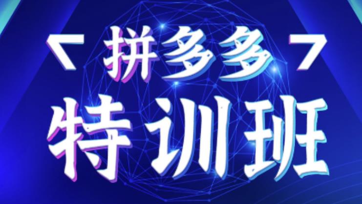 星雪教育·拼多多基础班+进阶班+突破班，用系统的学习模式快速改变现状价值3580元-全网第一网赚项目资源库-中赚网 & 中创网 & 冒泡网 & 福缘网 - 小本轻创业与优质加盟项目首选平台