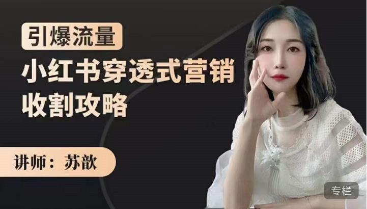 苏歆：小红书穿透式营销收割攻略，引爆流量，助你玩转小红书-全网第一网赚项目资源库-中赚网 & 中创网 & 冒泡网 & 福缘网 - 小本轻创业与优质加盟项目首选平台