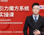 阿呆-引力魔方系统实操课，全体系实战教学，助你快速掌握推荐流量底层逻辑-全网第一网赚项目资源库-中赚网 & 中创网 & 冒泡网 & 福缘网 - 小本轻创业与优质加盟项目首选平台