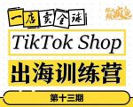 TikTokShop出海训练营(第十三期),打开全球流量新思维,出海抢占全球新流量,一店卖全球-全网第一网赚项目资源库-中赚网 & 中创网 & 冒泡网 & 福缘网 - 小本轻创业与优质加盟项目首选平台