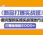 凌童《新品打爆实战班》,一套完整的实操实战落地方法,打爆链接超2000+(28节课)-全网第一网赚项目资源库-中赚网 & 中创网 & 冒泡网 & 福缘网 - 小本轻创业与优质加盟项目首选平台