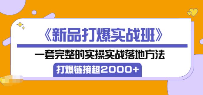 凌童《新品打爆实战班》,一套完整的实操实战落地方法，打爆链接超2000+（28节课)-全网第一网赚项目资源库-中赚网 & 中创网 & 冒泡网 & 福缘网 - 小本轻创业与优质加盟项目首选平台