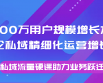 8000万用户规模增长方法论私域精细化运营增长，私域流量硬课助力业务跃迁-全网第一网赚项目资源库-中赚网 & 中创网 & 冒泡网 & 福缘网 - 小本轻创业与优质加盟项目首选平台