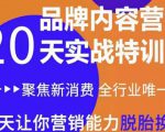 《内容营销实操特训营》20天让你营销能力脱胎换骨(价值3999)-全网第一网赚项目资源库-中赚网 & 中创网 & 冒泡网 & 福缘网 - 小本轻创业与优质加盟项目首选平台