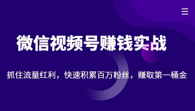 微信视频号赚钱实战：抓住流量红利，快速积累百万粉丝，赚取你的第一桶金-全网第一网赚项目资源库-中赚网 & 中创网 & 冒泡网 & 福缘网 - 小本轻创业与优质加盟项目首选平台