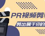 PR视频剪辑课:各种剪辑与视频特效玩法,剪出属于你的大片-全网第一网赚项目资源库-中赚网 & 中创网 & 冒泡网 & 福缘网 - 小本轻创业与优质加盟项目首选平台