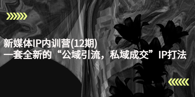 新媒体IP内训营(12期)，一套全新的“公域引流，私域成交”IP打法，直接带走-全网第一网赚项目资源库-中赚网 & 中创网 & 冒泡网 & 福缘网 - 小本轻创业与优质加盟项目首选平台