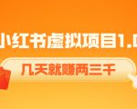 《小红书虚拟项目1.0》账号注册+养号+视频制作+引流+变现，几天就赚两三千-全网第一网赚项目资源库-中赚网 & 中创网 & 冒泡网 & 福缘网 - 小本轻创业与优质加盟项目首选平台