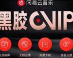 网易云音乐撸黑胶年卡及变现方法，收益可无限放大-全网第一网赚项目资源库-中赚网 & 中创网 & 冒泡网 & 福缘网 - 小本轻创业与优质加盟项目首选平台