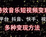 黄岛主《粒子特效音乐短视频变现项目》主攻平台抖音、快手、视频号多种变现方法-全网第一网赚项目资源库-中赚网 & 中创网 & 冒泡网 & 福缘网 - 小本轻创业与优质加盟项目首选平台