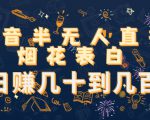 抖音半无人直播烟花表白,日赚几十到几百(教程+视频模板素材)-全网第一网赚项目资源库-中赚网 & 中创网 & 冒泡网 & 福缘网 - 小本轻创业与优质加盟项目首选平台