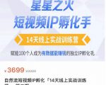 瑶瑶·自然流短视频IP孵化第二期,14天线上实战训练营,赋能100个人成为有数据能赚钱的独立IP孵化手-全网第一网赚项目资源库-中赚网 & 中创网 & 冒泡网 & 福缘网 - 小本轻创业与优质加盟项目首选平台