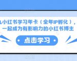 厦九九小红书学习年卡(全年IP孵化),沉浸式学习,一起成为有影响力的小红书博主-全网第一网赚项目资源库-中赚网 & 中创网 & 冒泡网 & 福缘网 - 小本轻创业与优质加盟项目首选平台