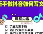 新手做抖音如何写文案，手把手实操如何拆解热门文案-全网第一网赚项目资源库-中赚网 & 中创网 & 冒泡网 & 福缘网 - 小本轻创业与优质加盟项目首选平台