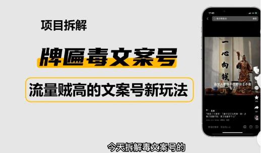 2023抖音快手毒文案新玩法，牌匾文案号，起号快易变现-全网第一网赚项目资源库-中赚网 & 中创网 & 冒泡网 & 福缘网 - 小本轻创业与优质加盟项目首选平台