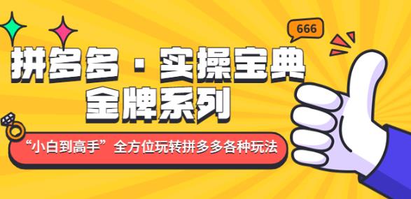 拼多多·实操宝典：金牌系列“小白到高手”带你全方位玩转拼多多各种玩法-全网第一网赚项目资源库-中赚网 & 中创网 & 冒泡网 & 福缘网 - 小本轻创业与优质加盟项目首选平台