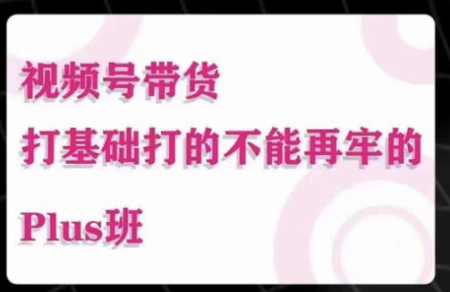大播汇·视频号带货Puls班，视频号底层逻辑，起号自然流鱼塘等玩法-全网第一网赚项目资源库-中赚网 & 中创网 & 冒泡网 & 福缘网 - 小本轻创业与优质加盟项目首选平台