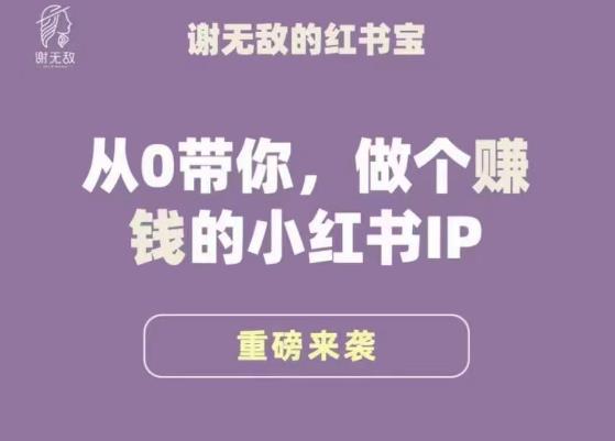 谢无敌·小红书运营大宝典，从0带你做个赚钱的小红书IP-全网第一网赚项目资源库-中赚网 & 中创网 & 冒泡网 & 福缘网 - 小本轻创业与优质加盟项目首选平台